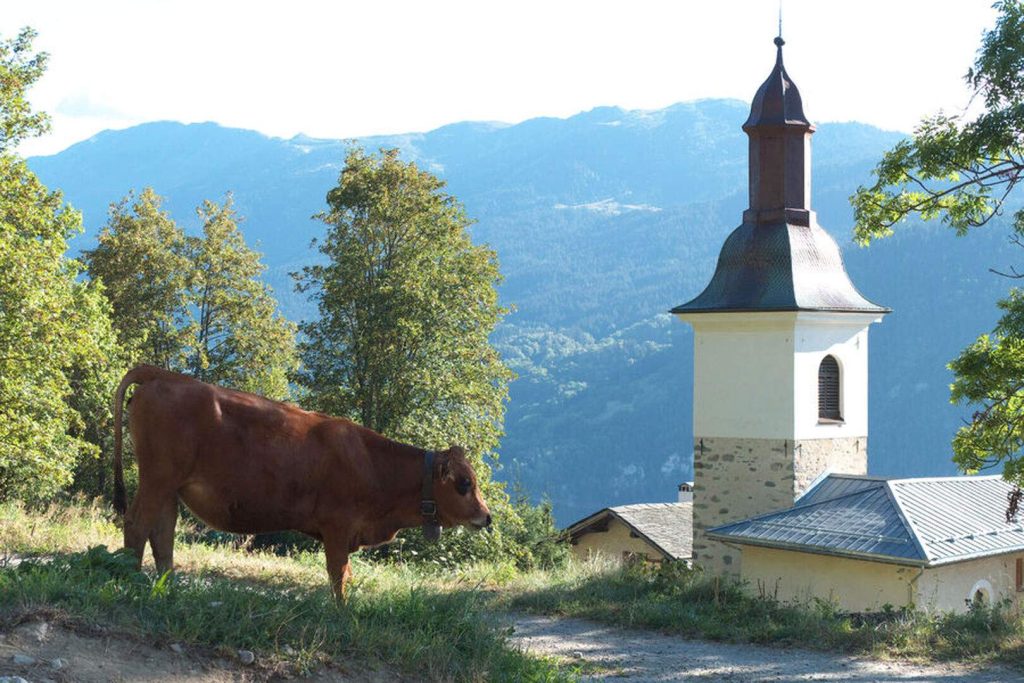 Feissons-sur-Salins - Église de Feissons-sur-salins (Saint Maurice)