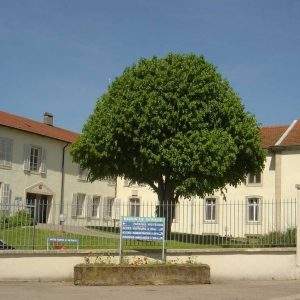 Vineuil-Saint-Firmin - Église La Compassion (Maison de Retraite)